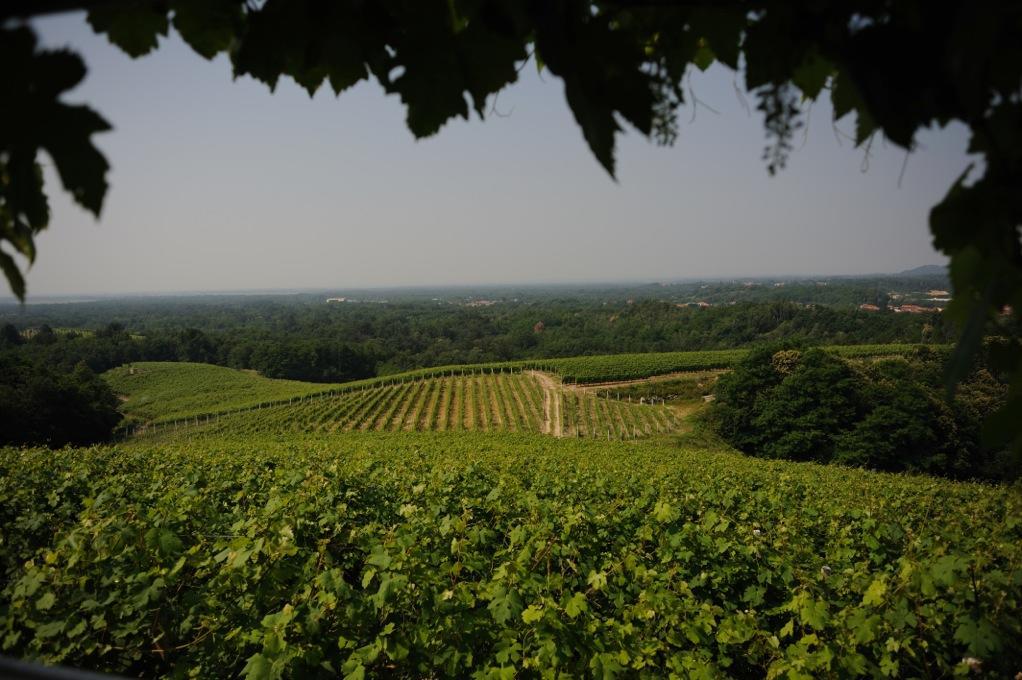 Locanda Villa Cavalleri Gattinara المظهر الخارجي الصورة